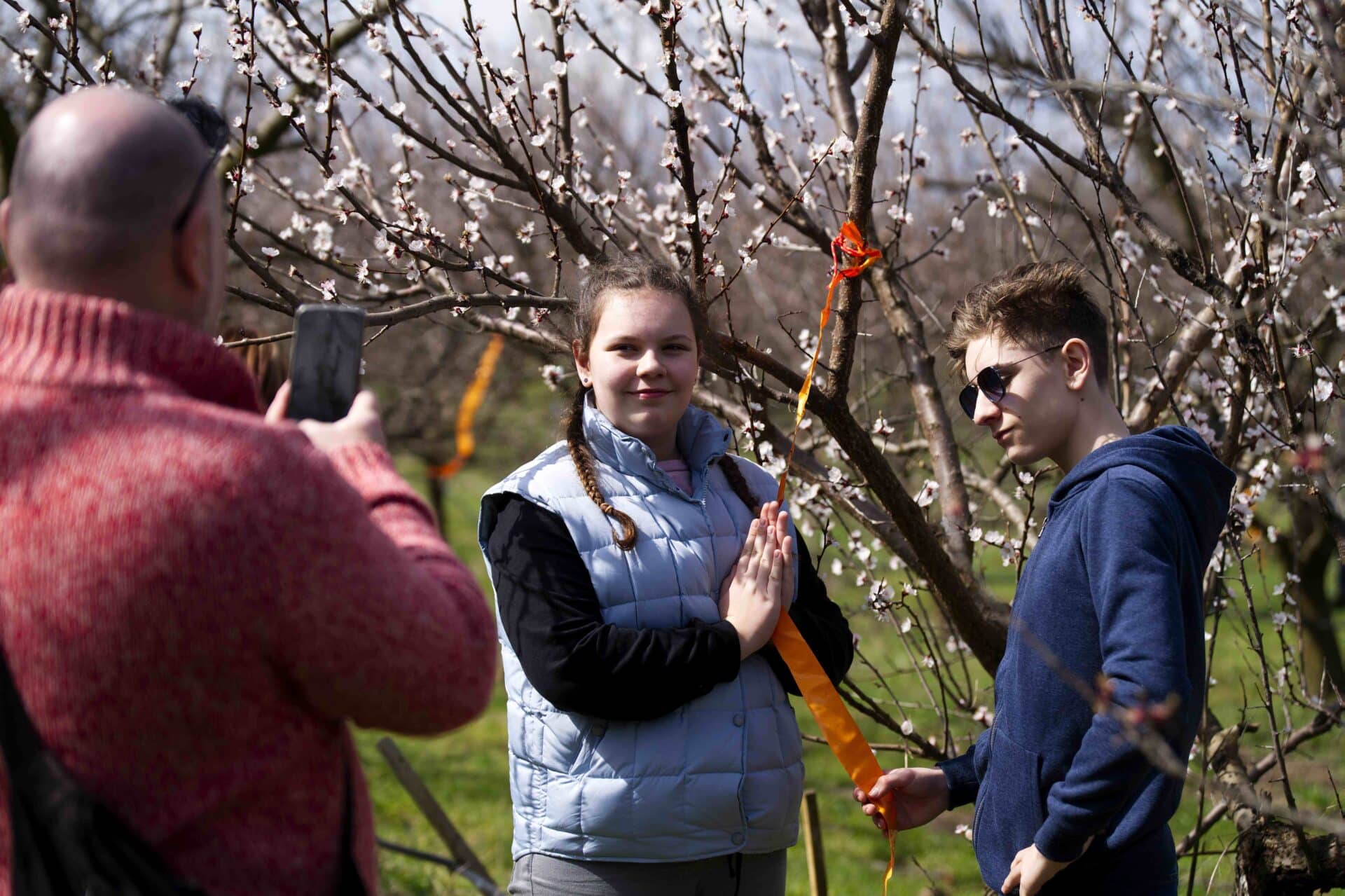 Megáldották a barackvirágokat